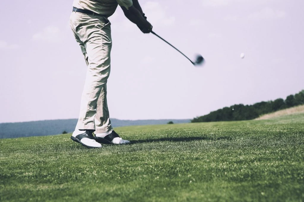 Алігатори крадуть м’ячі у гольфістів: найдивніші випадки на PGA Tour